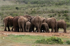 suedafrika_2019_0380