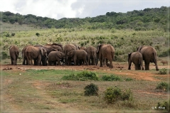 suedafrika_2019_0381