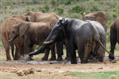 suedafrika_2019_0392