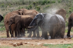 suedafrika_2019_0393