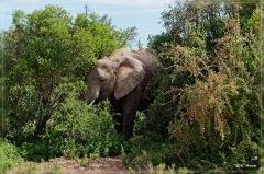 suedafrika_2019_0398