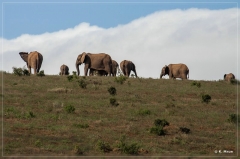 suedafrika_2019_0400