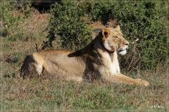 suedafrika_2019_0409