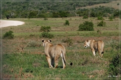 suedafrika_2019_0413