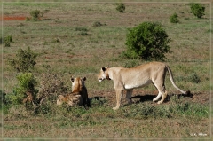 suedafrika_2019_0414