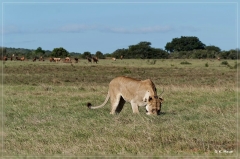 suedafrika_2019_0418