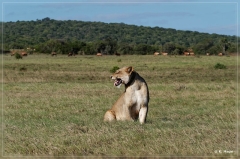 suedafrika_2019_0420