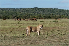 suedafrika_2019_0421