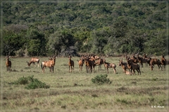 suedafrika_2019_0422