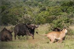 suedafrika_2019_0424