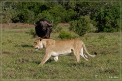 suedafrika_2019_0425