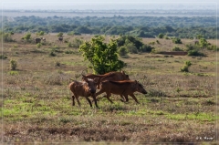 suedafrika_2019_0434