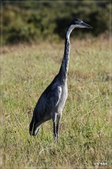 suedafrika_2019_0436