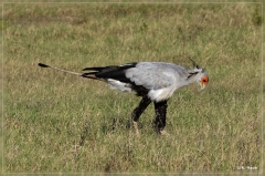 suedafrika_2019_0444