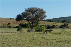 suedafrika_2019_0446