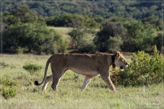 suedafrika_2019_0447