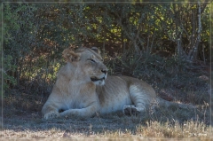 suedafrika_2019_0448