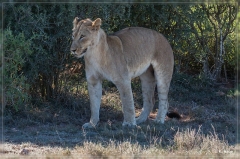 suedafrika_2019_0450