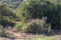 suedafrika_2019_0452