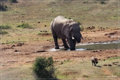 suedafrika_2019_0458