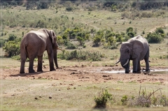 suedafrika_2019_0459