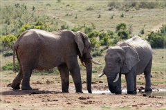 suedafrika_2019_0462