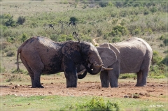 suedafrika_2019_0463