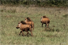 suedafrika_2019_0467