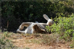 suedafrika_2019_0468