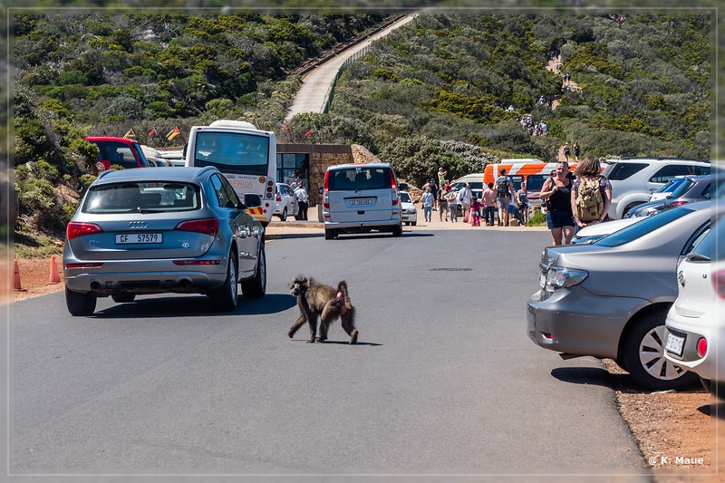 suedafrika_2019_0741.jpg