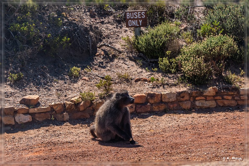 suedafrika_2019_0742.jpg