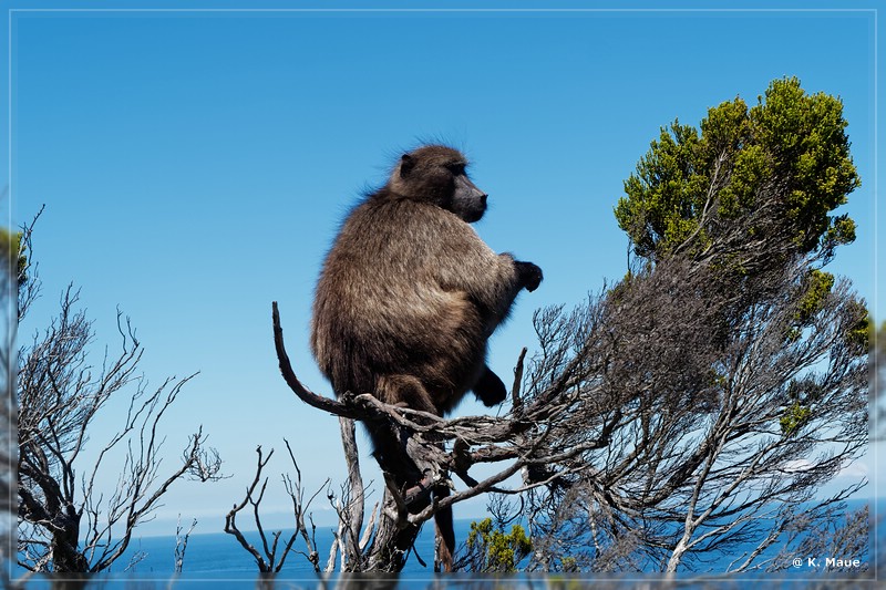 suedafrika_2019_0744.jpg