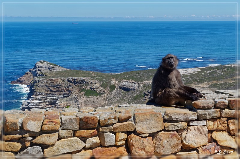 suedafrika_2019_0748.jpg