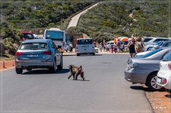 suedafrika_2019_0741