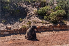 suedafrika_2019_0742