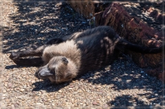 suedafrika_2019_0755