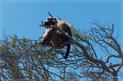 suedafrika_2019_0756