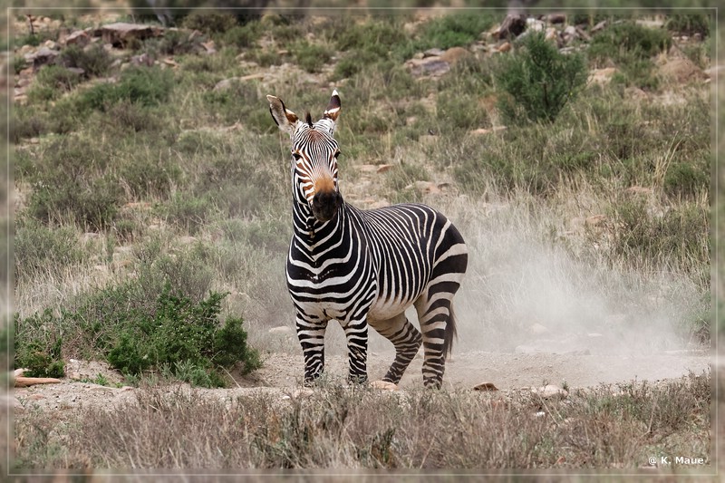 suedafrika_2019_0146.jpg