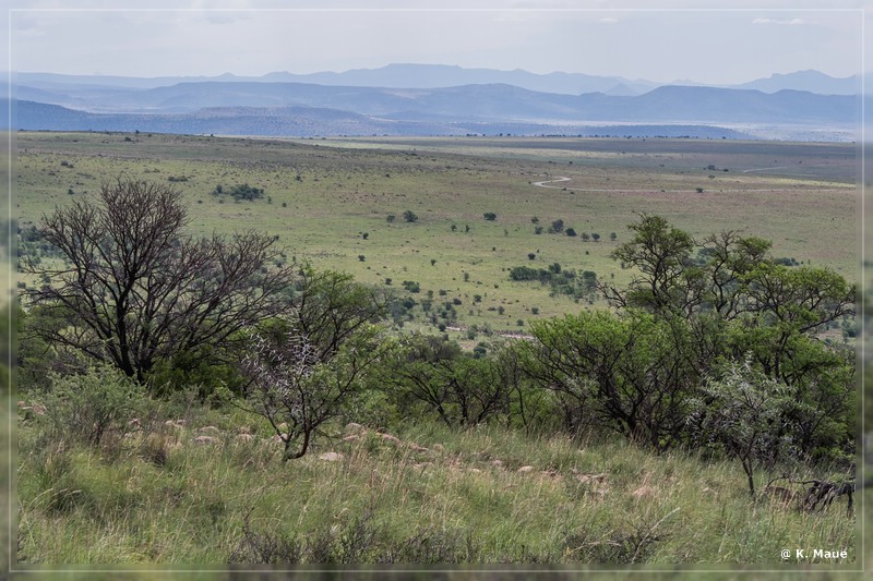 suedafrika_2019_0151.jpg