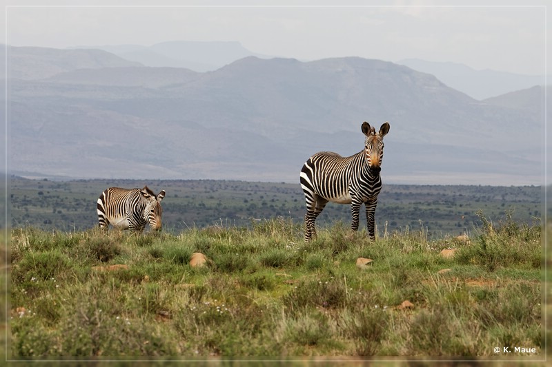 suedafrika_2019_0154.jpg