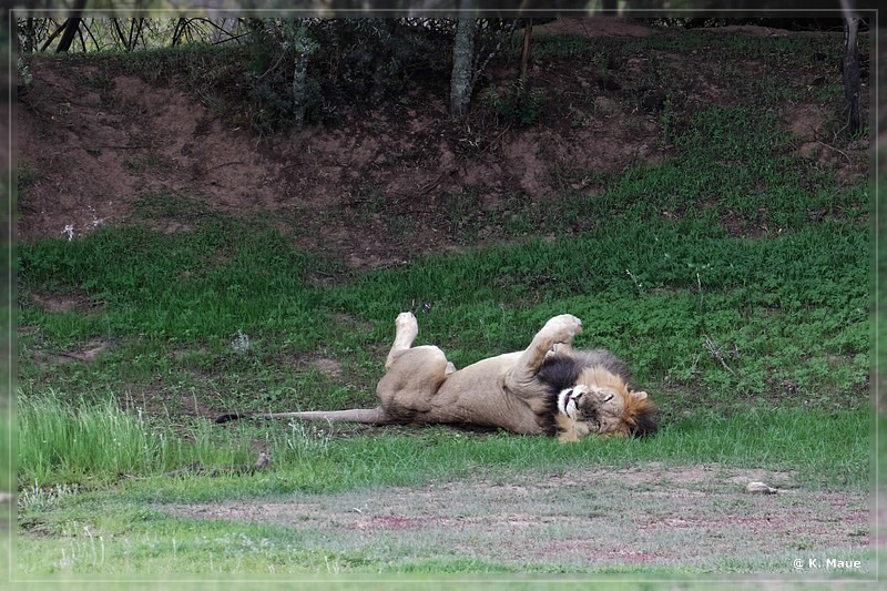 suedafrika_2019_0156.jpg