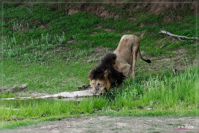 suedafrika_2019_0160.jpg