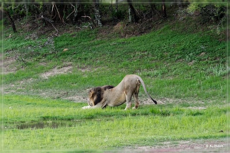 suedafrika_2019_0161.jpg