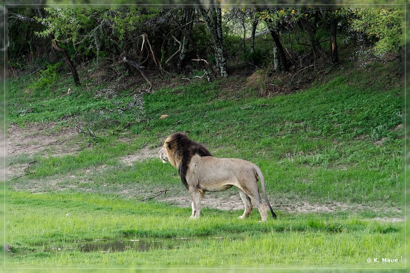 suedafrika_2019_0162.jpg