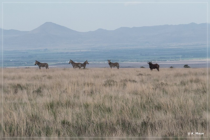 suedafrika_2019_0163.jpg