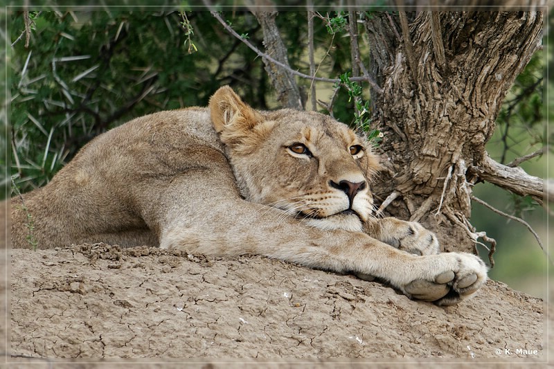 suedafrika_2019_0165.jpg