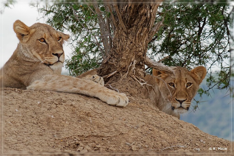 suedafrika_2019_0168.jpg