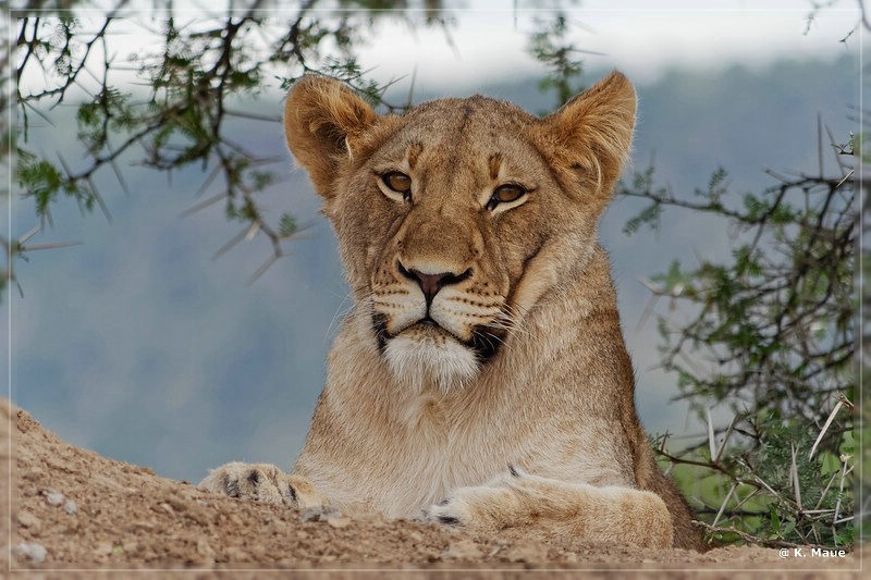 suedafrika_2019_0170.jpg