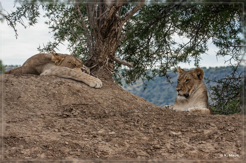 suedafrika_2019_0171.jpg