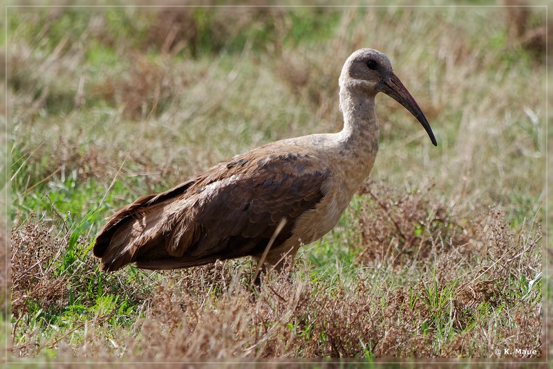 suedafrika_2019_0172.jpg